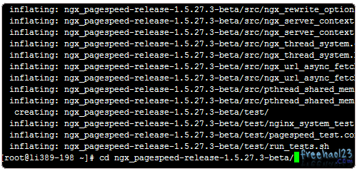 ngx_pagespeed配置