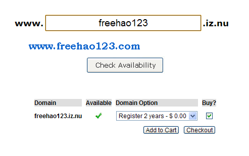 IZ.NU免费二级域名支持地址解析转发